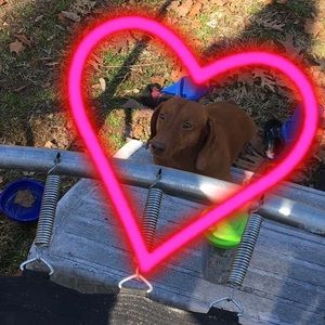 Meet your Posher, Jasmine